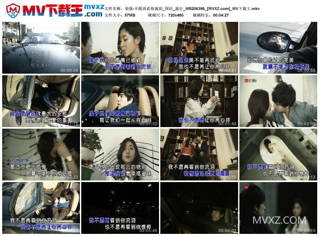 羽强-不愿再看你流泪_国语_流行_MB206396